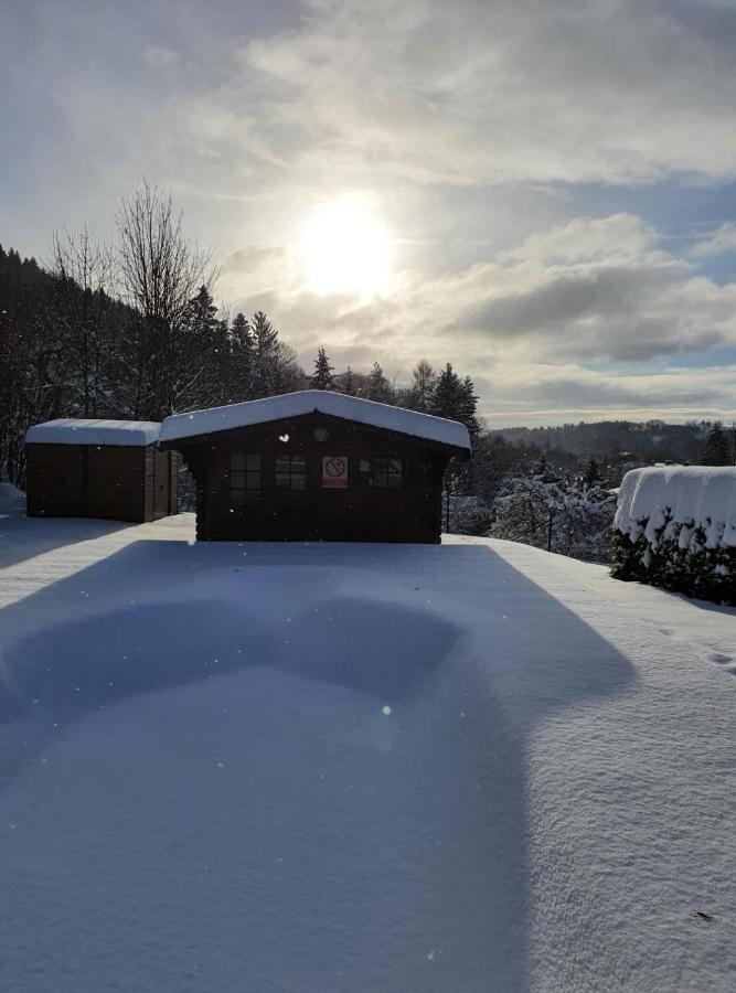 Blue Pension Svoboda nad Upou Exterior photo